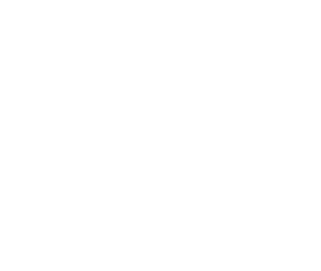 Argonaut Moving logo